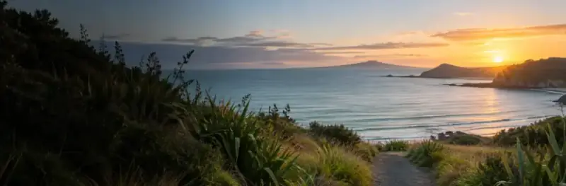 A coastal path through flax at sunset, looking out to Rangitoto and the sea.